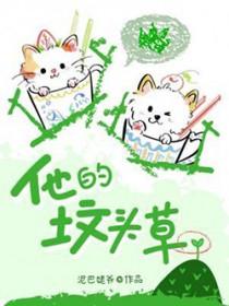 她的墓碑上刻着别在我坟前哭